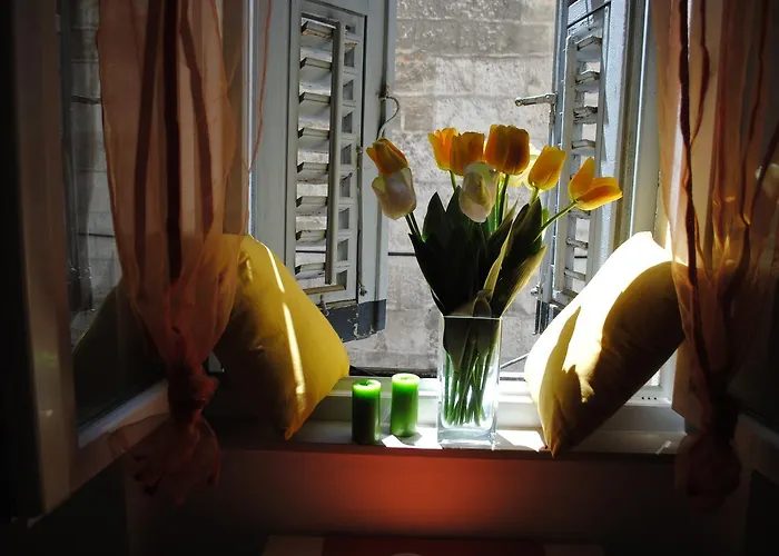 Optimist Split/city Center Apartamento