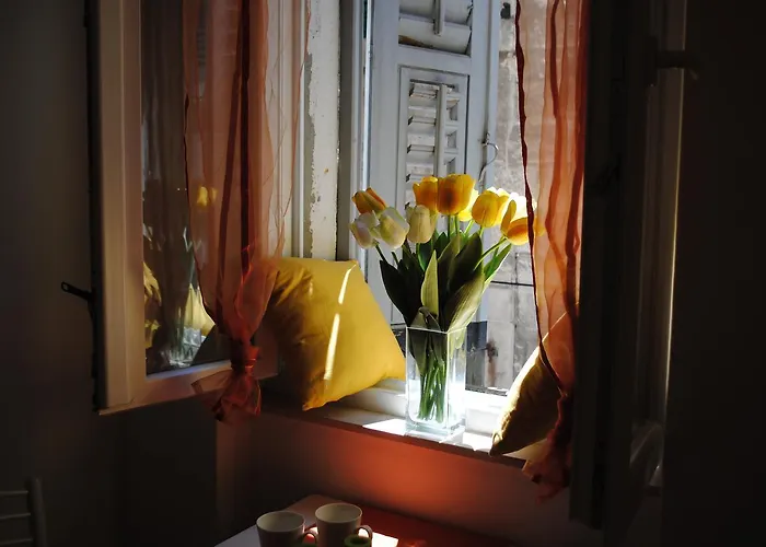 Optimist Split/city Center