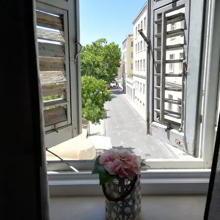 Optimist Split/city Center Apartment