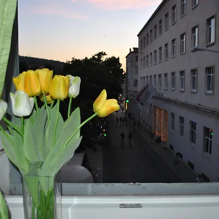 Optimist Split/city Center *