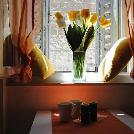 Optimist Split/city Center 公寓