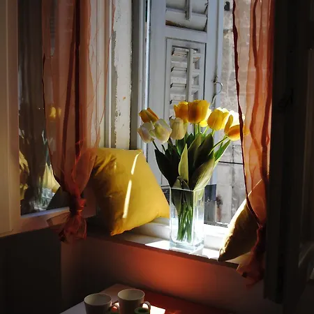 Optimist Split/city Center