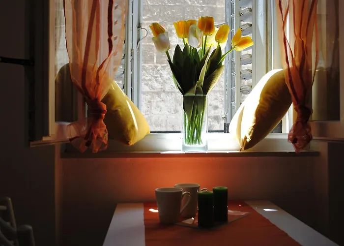 Optimist Split/city Center דירה